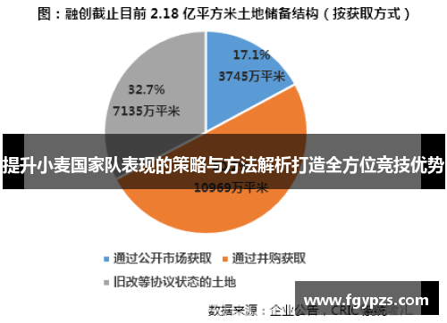 提升小麦国家队表现的策略与方法解析打造全方位竞技优势