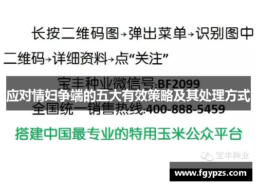 应对情妇争端的五大有效策略及其处理方式